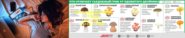 дмт Вяземский