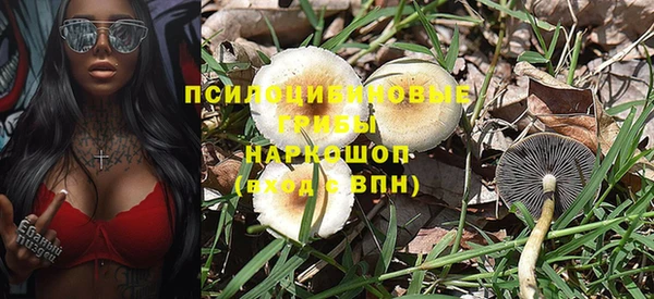 дмт Вяземский
