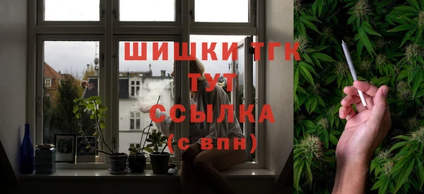 дмт Вяземский