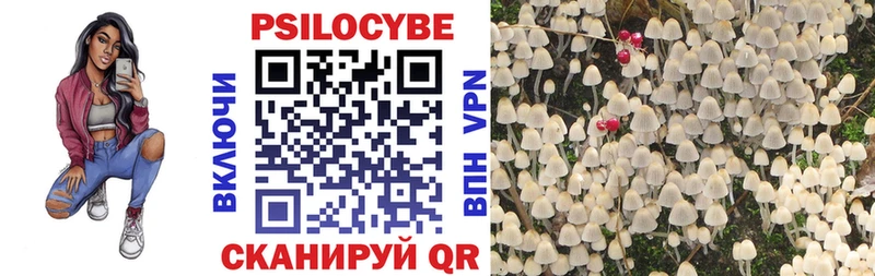 Псилоцибиновые грибы ЛСД  Елец 
