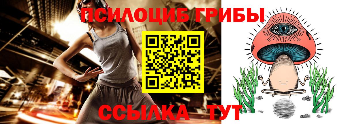Псилоцибиновые грибы Psilocybe Елец