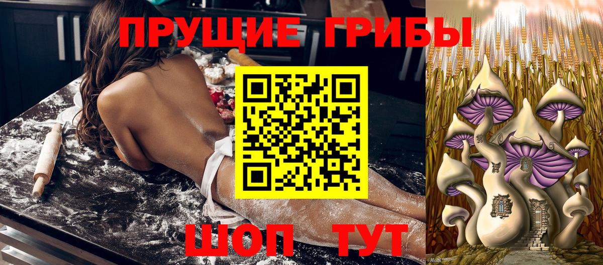 Галлюциногенные грибы Psilocybe  Псилоцибиновые грибы ЛСД  Елец  Вход с VPN 